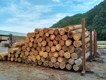 輸入木材高騰「ウッドショック」　国産も不足、住宅・家具に波及