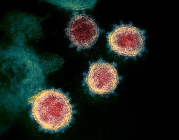 沖縄で2人死亡、25人感染　新型コロナウイルス【6月28日昼】