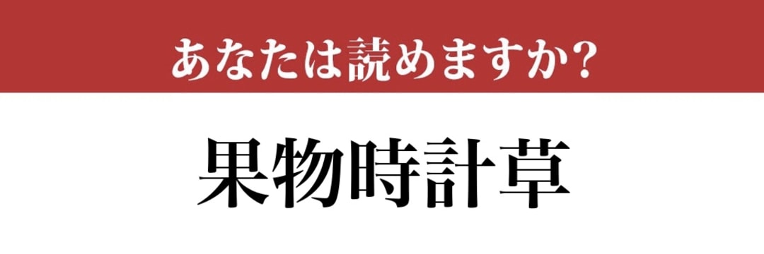 難読漢字 果物時計草 って読めますか 時計草