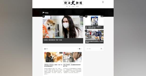 秋田犬新聞の中国語版公開　本場から話題を提供