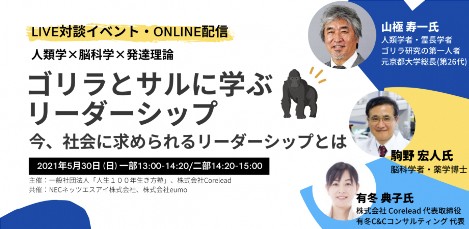 人間は 勝ちたい と 負けたくない を混同している 相手と対等であるために あえて勝とうとしない ゴリラの生態