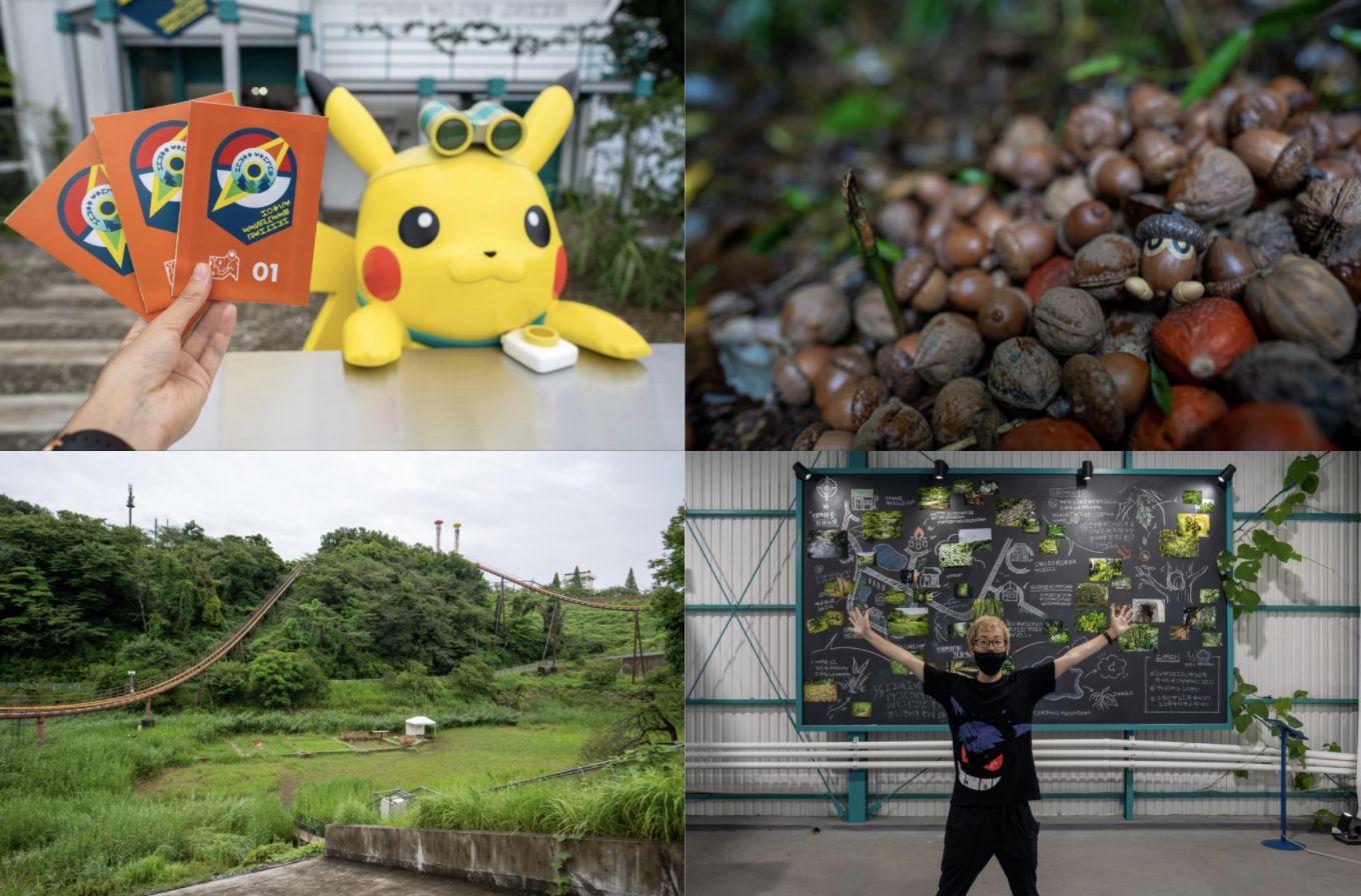 ポケモンワンダーチケット【12月5日 ささやきの竹林】 - 遊園地/テーマ 