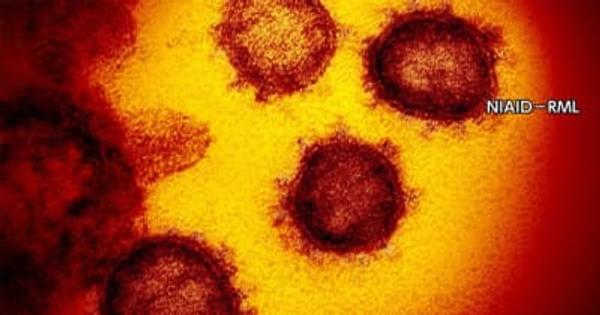 新型コロナウイルス　東京都で新たに950人の感染確認