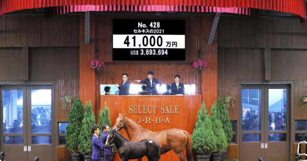 【セレクトセール】「セルキス21」が日本の競走馬セール史上7位の4億1000万円で落札