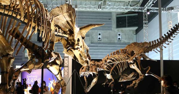 恐竜の魅力、実物化石や映像で紹介　パシフィコ横浜で科学展