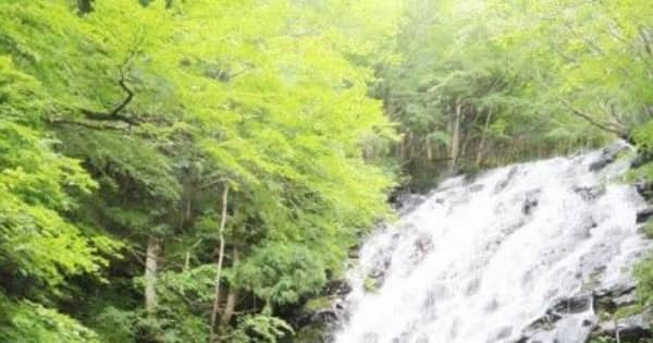涼感たっぷりな水しぶき　津山・阿波の布滝