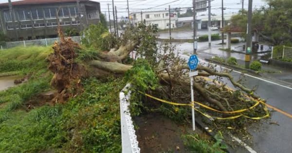 遅い台風6号、宮古島と石垣が暴風域　下地島で瞬間38m　本島再接近へ（7月23日正午前）