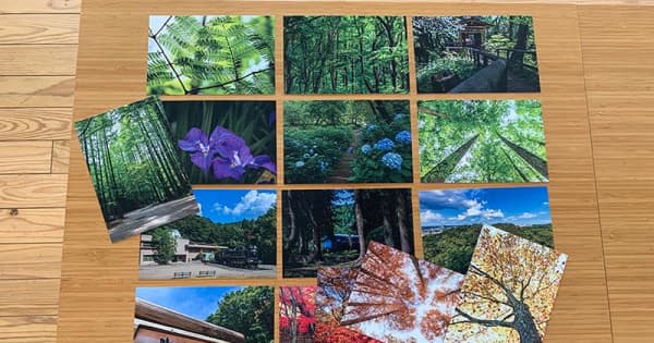 川崎・生田緑地の魅力、ポストカードに　四季折々の植物や風景18枚販売