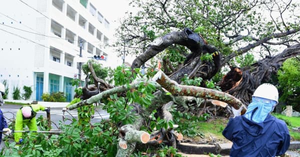 暴風警報、宮古島で79時間　台風6号　沖縄本島と大東島で農作物被害額4650万円に