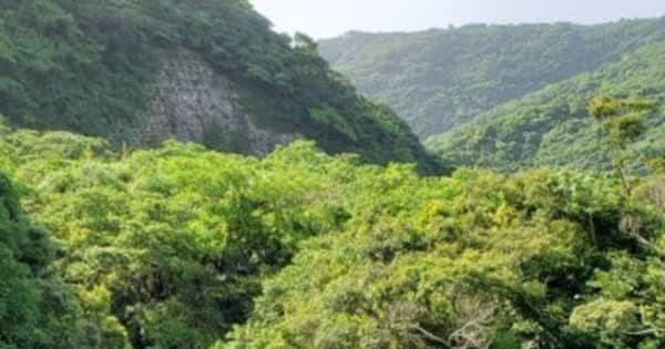 世界自然遺産　きょう登録へ　沖縄・奄美　県、審議の模様配信