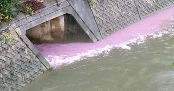 川がピンクに排水路から謎の液体が大量流出　沖縄・普天間川