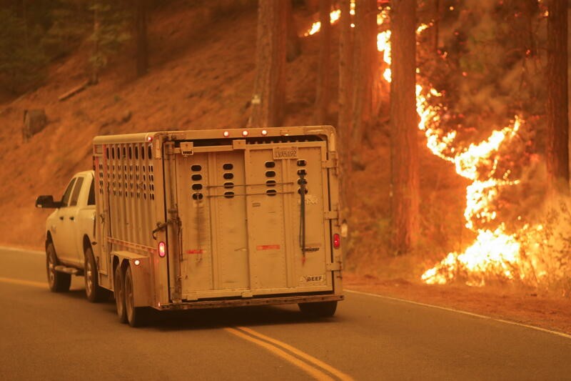カリフォルニア州の山火事、被害拡大　新たに550軒の住宅焼失