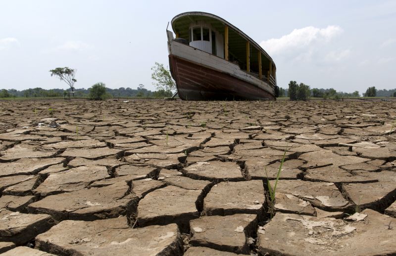 アングル：水不足で世界の水力発電ピンチ、温暖化阻止に脅威