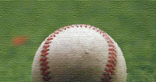 【高校野球】横浜商大と湘南、神奈川県大会出場へ　秋季地区予選