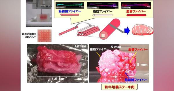 大阪大学ら、3Dプリントで和牛の「サシ」まで再現可能な「3Dプリント金太郎飴技術」を開発