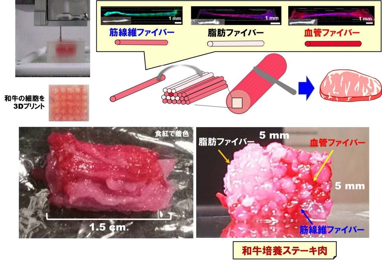 大阪大学ら、3Dプリントで和牛の「サシ」まで再現可能な「3Dプリント金太郎飴技術」を開発
