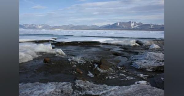 世界最北端の島を発見　グリーンランド、消滅の恐れも
