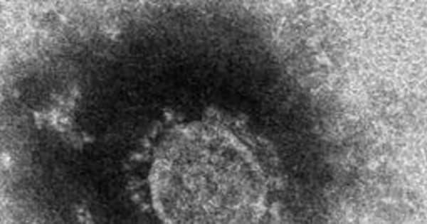 兵庫県のコロナウイルス患者　9割がデルタ株感染へ置き換わり