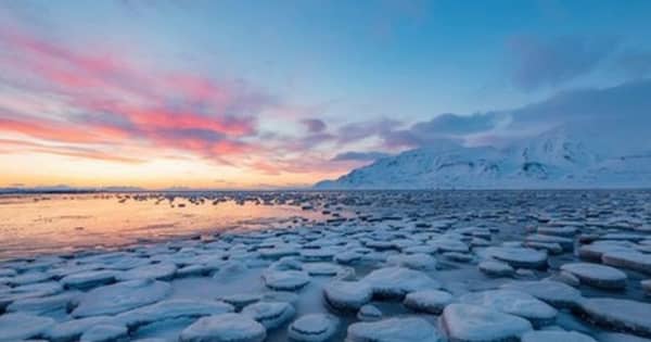 北極の温暖化が冬の異常気象に関係、北米や東アジアに影響＝米研究
