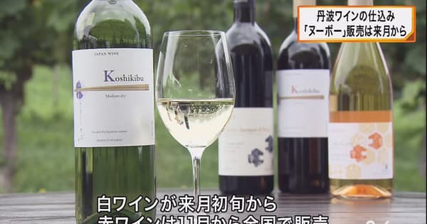 京都府京丹波町でワインの仕込み　「ヌーボー」は来月初旬に販売開始