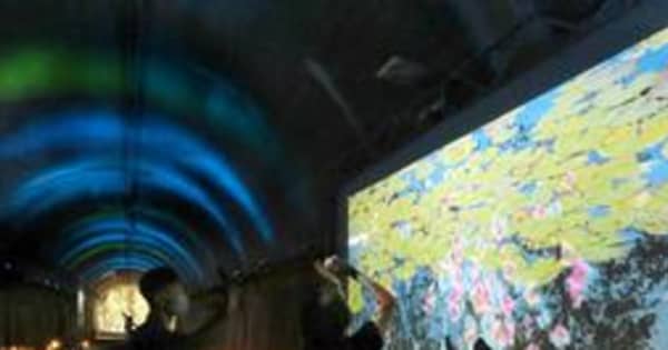森のトンネル、体験型のデジタルアート　神戸・森林植物園
