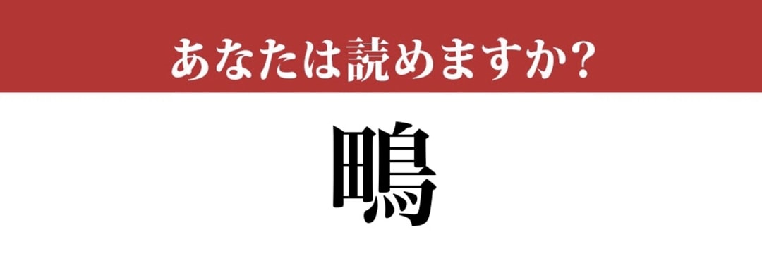 【難読漢字】「鴫」って読めますか？読めたらすごい！