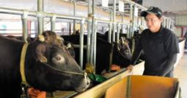 丹波で但馬牛　繁殖農家に挑戦、市内で30年ぶり　子牛を初出荷、親牛飼育100頭目指す