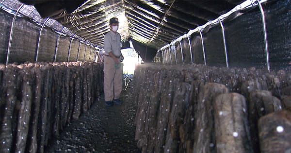 アメリカ 日本食品100品目の輸入規制撤廃　福島の農家「大変うれしい」