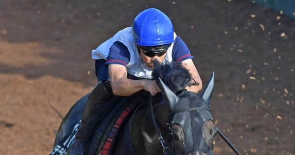 【神戸新聞杯】ステラヴェローチェ 自己ベスト更新　馬体も走りも成長で飛躍へ手応え