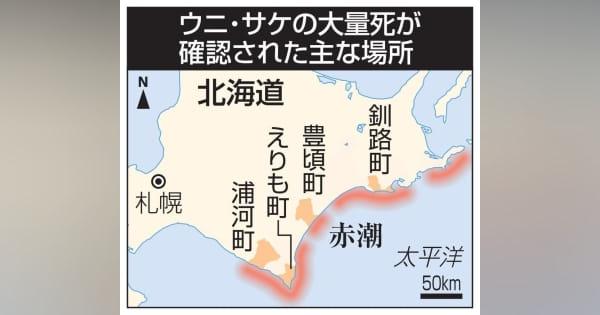 北海道でウニとサケ大量死　赤潮が影響か、漁師「無念」