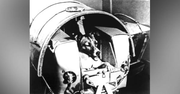 ＜あのころ＞ソ連が世界初の人工衛星　2号でライカ犬宇宙へ