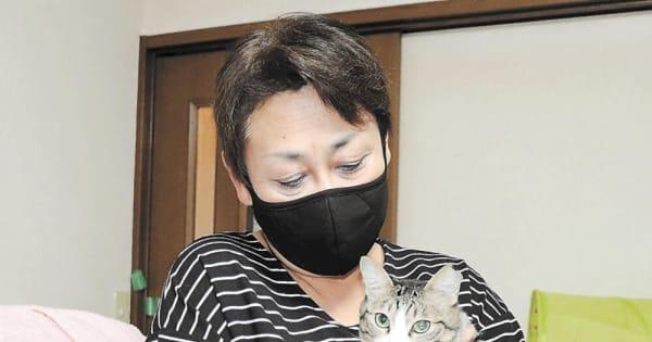 残された猫の飼い主 探してます　保護のグループ、10日仙台で譲渡会