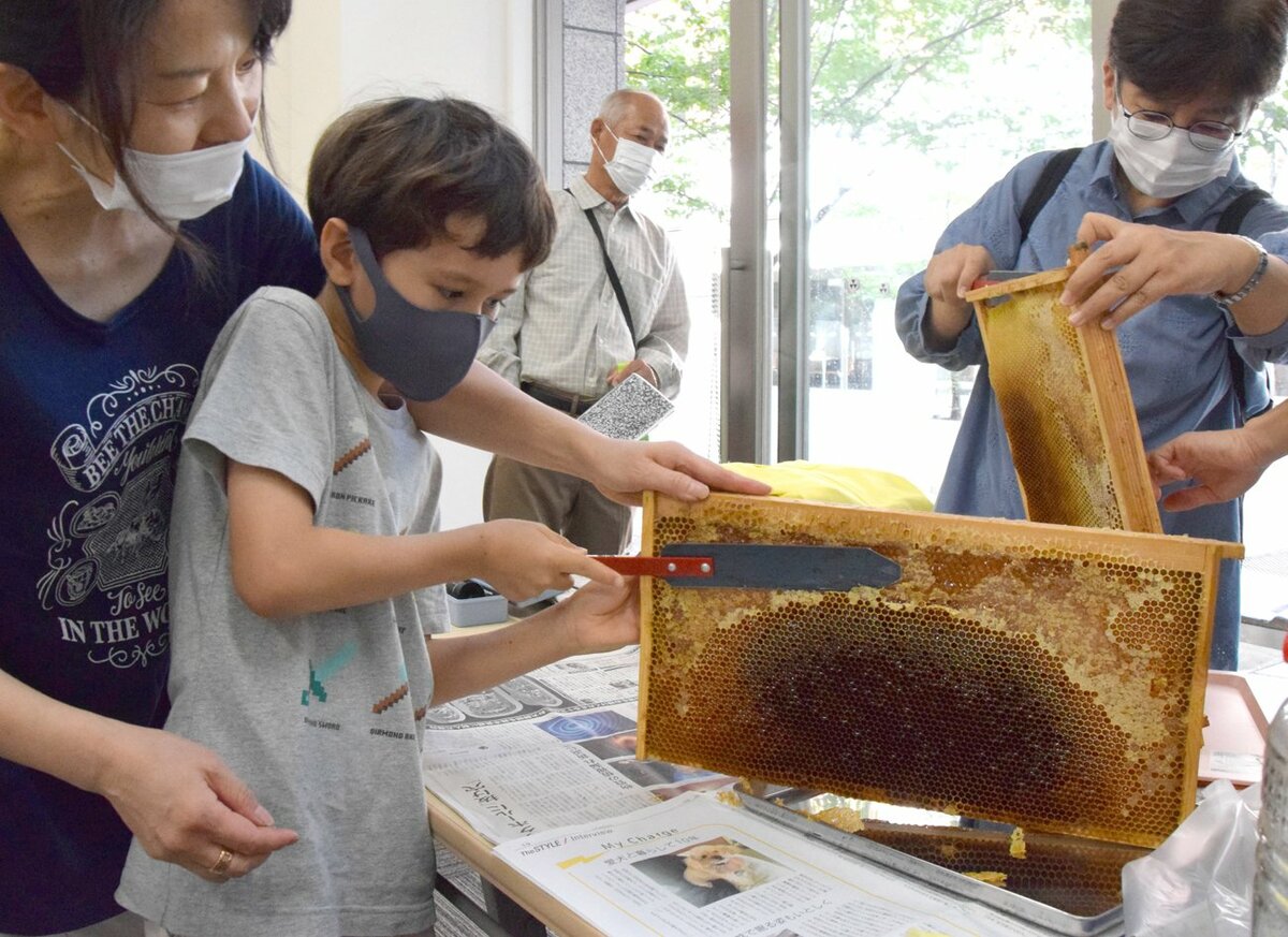 あまーいハチミツ採れた　親子連れら養蜂体験　京都・同志社大