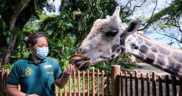 【シンガポール】動物園運営社が企業名変更、環境問題重視へ［観光］