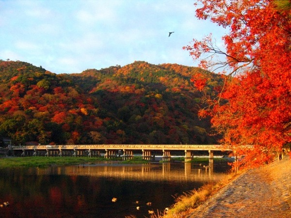 北日本は本格的な紅葉シーズンへウェザーニューズ「見頃予想」を発表