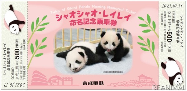 双子のパンダ「シャオシャオ・レイレイ」誕生記念乗車券や電車のヘッドマークも　京成電鉄