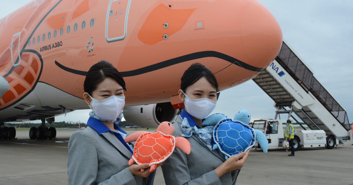 空飛ぶウミガメ　全日空オレンジ3号機が成田到着　ハワイ線就航へ