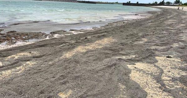軽石漂着、沖縄・本部の海岸も埋め尽くす住民「初めてのこと」