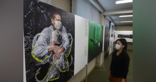 世界報道写真コンテストの入賞作を紹介　環境破壊や紛争など、京都で写真展