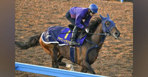 アサマノイタズラ絶好の動き　競馬の菊花賞追い切り