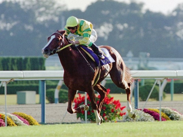 競馬 マヤノトップガン 田原成貴 直筆サイン入り 色紙 トレーティング おまけ付 競馬 マヤノトップガン 田原成貴 直筆サイン入り 色紙 ト