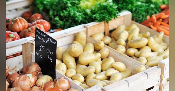 野菜やくだもの「プラ包装」2022年から禁止へ【フランス】