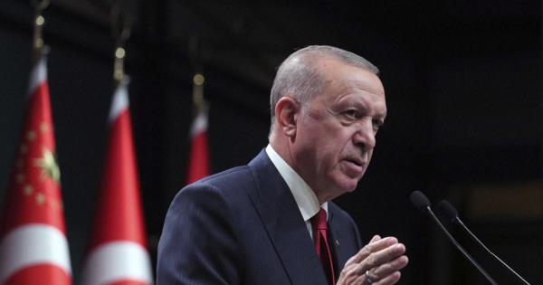 トルコ大統領、10カ国の大使を追放の姿勢　実業家の釈放巡り