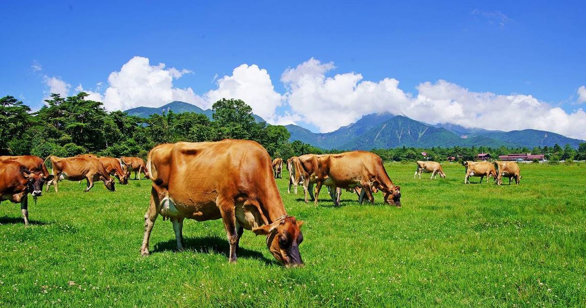 山梨県、家畜福祉の国内初認証制度へ　エシカル消費を意識