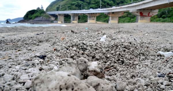 平南川河口にも大量の軽石が漂着　沖縄・大宜味村
