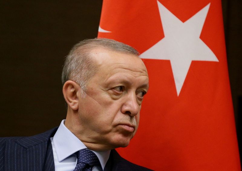 トルコ大統領の大使追放指示、経済苦境から目をそらす目的か