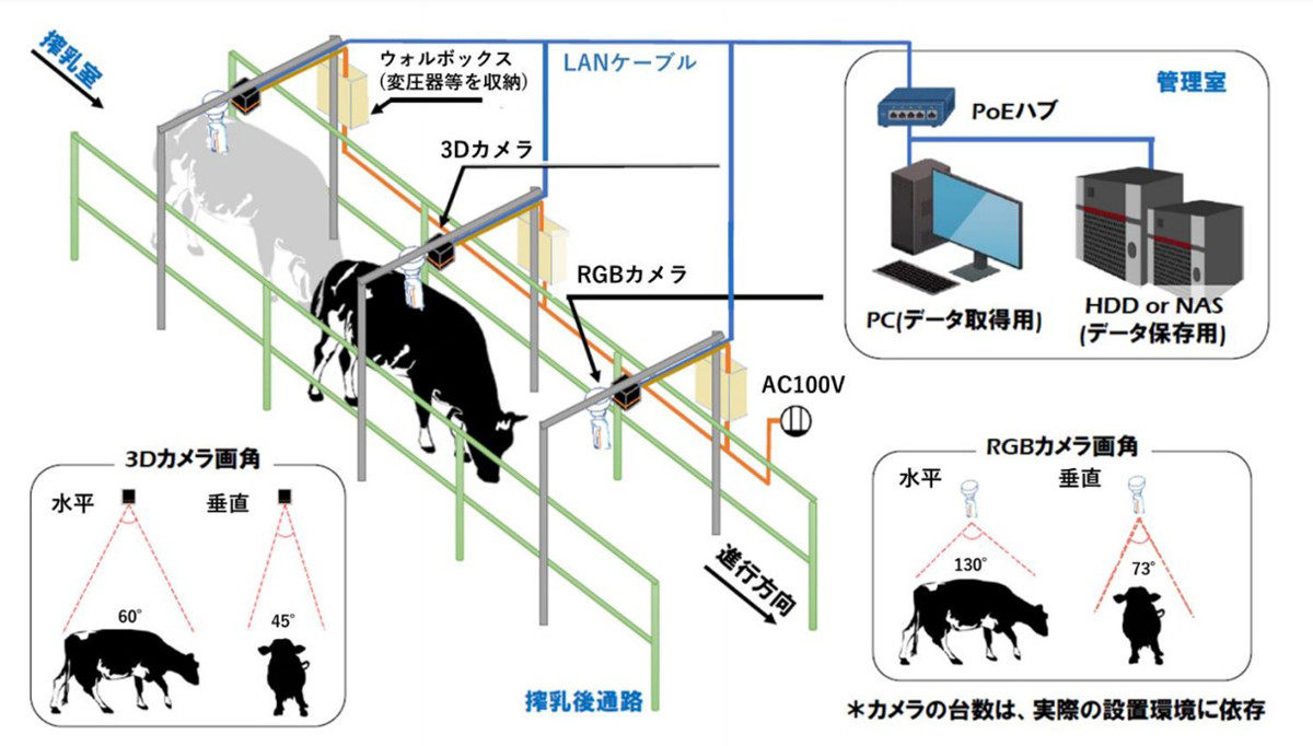 NTTデータ経営研、乳牛管理にローカル5Gを用いたスマート農業実証実験