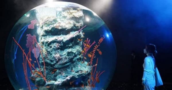 アートが彩る水族館 神戸に開業へ　ウエスコ子会社運営 幻想的な空間