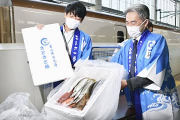新幹線で富山の鮮魚お届け　県モデル事業、東京まで