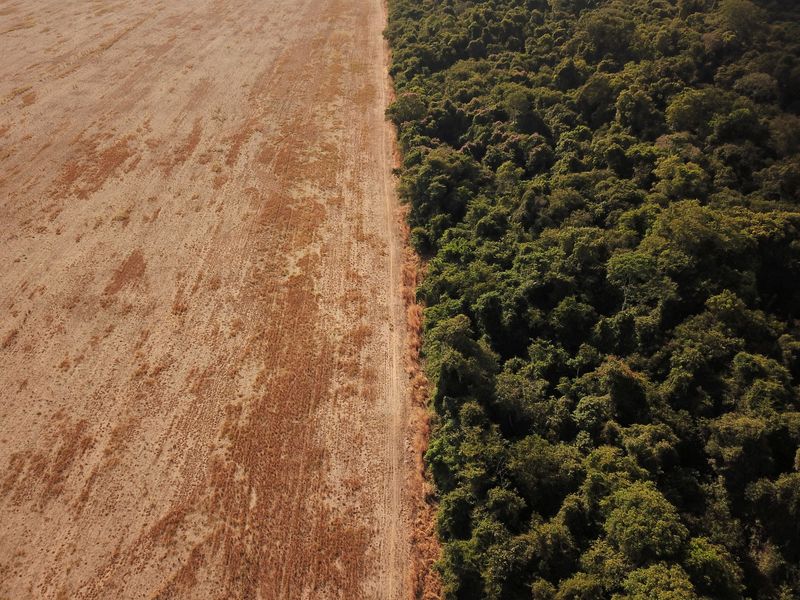 ブラジル、気候変動対策の強化表明　森林伐採ゼロ目標2年前倒し